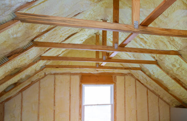 Best Cellulose Insulation in Princeton Junction, NJ